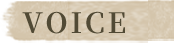 voice